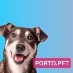 Porto-Pet